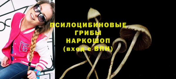 гидропоника Алексеевка