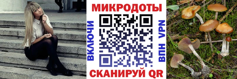 сколько стоит Уяр Псилоцибиновые грибы мицелий